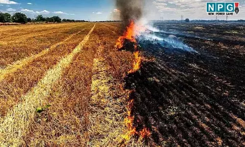 Balodabazar News: जिंदा जली महिला, चारा लाने खेत गई थी, तभी बेहोश होकर गिरी, आग में जलकर हो गई मौत..