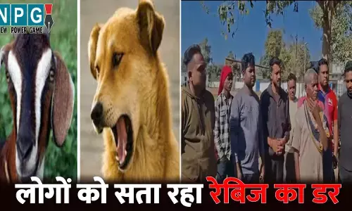 Surguja News: जिस बकरे को रेबिज संक्रमित कुत्ते ने काटा, उसी को खा गए 400 लोग...बलि के बाद पूरे गांव में बांटा, अब सता रहा रेबिज का डर