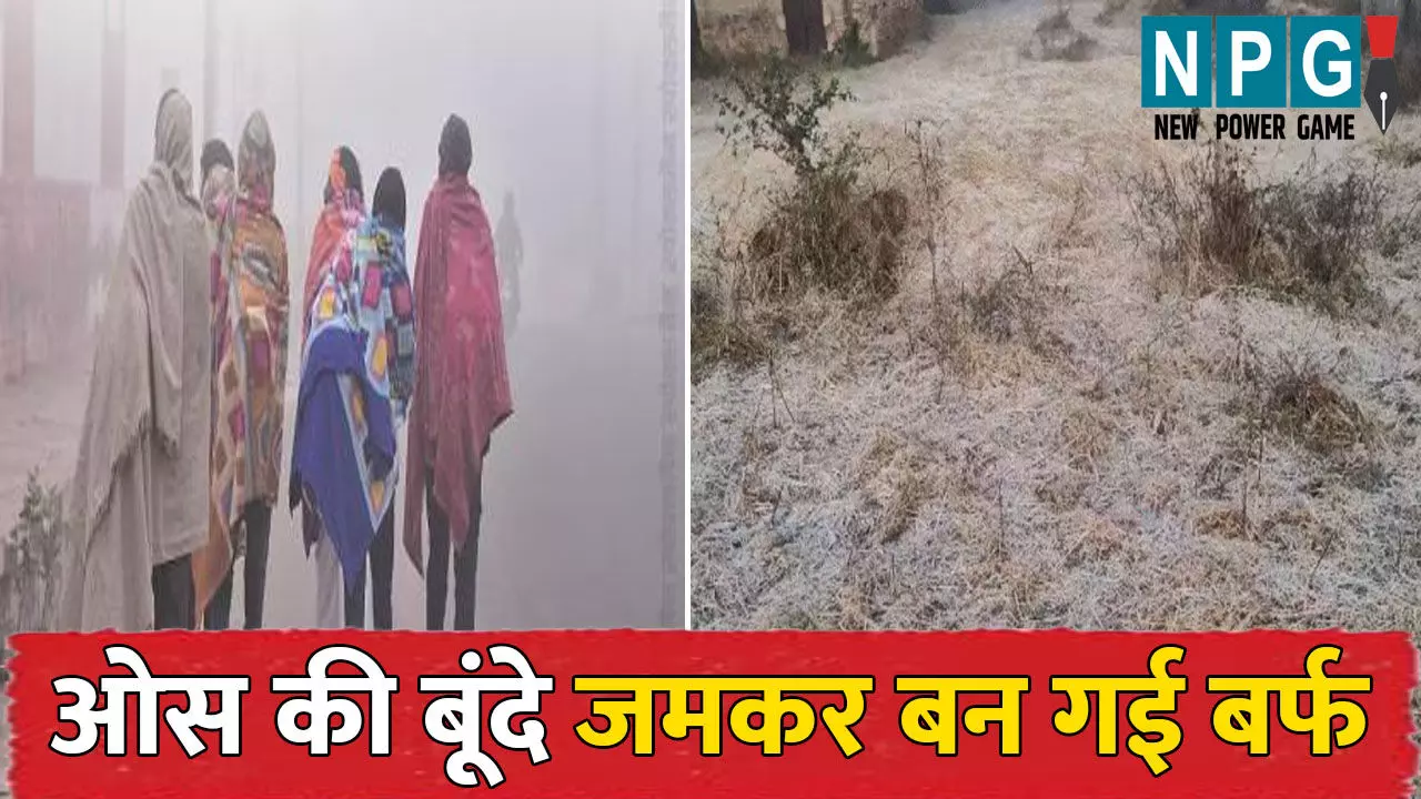 CG Me Aaj Ka Mausam: छत्तीसगढ़ के तीन संभाग में कोल्ड वेव का अलर्ट...मैनपाट, अंबिकापुर और पेंड्रा रहा सबसे ठंडा, ओस की बूंदे जमकर बन गई बर्फ CG Me Aaj Ka Mausam: छत्तीसगढ़ के तीन संभाग में कोल्ड वेव का अलर्ट...मैनपाट, अंबिकापुर और पेंड्रा रहा सबसे ठंडा, ओस की बूंदे जमकर बन गई बर्फ