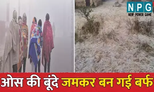 CG Me Aaj Ka Mausam: छत्तीसगढ़ के तीन संभाग में कोल्ड वेव का अलर्ट...मैनपाट, अंबिकापुर और पेंड्रा रहा सबसे ठंडा, ओस की बूंदे जमकर बन गई बर्फ
