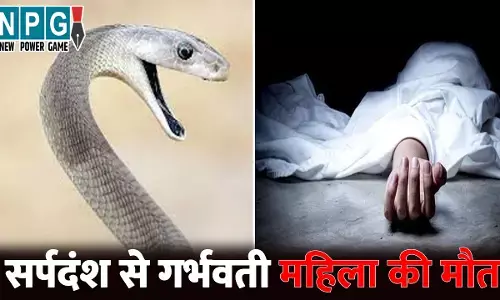 Korba News: CG में गर्भवती महिला की मौत...घर के आंगन में सांप ने तीन बार डसा, इलाज के दौरान तोड़ा दम