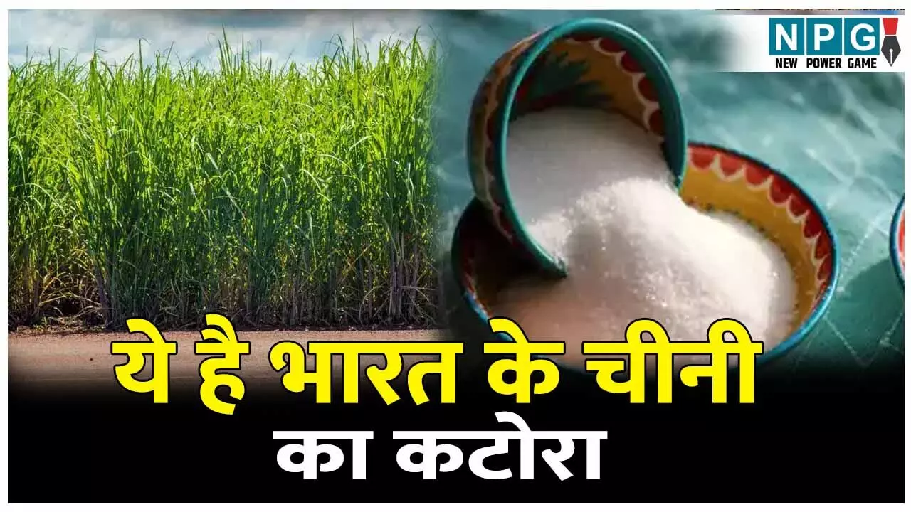 Bharat Ka Chini Ka Katora kise kahte hai: भारत का चीनी का कटोरा किस राज्य को कहते है? जानिए भारत में चीनी उद्योग का इतिहास।