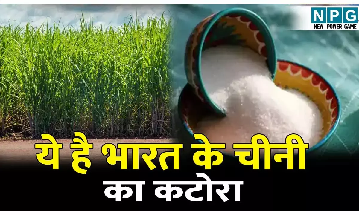 Bharat Ka Chini Ka Katora kise kahte hai: भारत का चीनी का कटोरा किस राज्य को कहते है? जानिए भारत में चीनी उद्योग का इतिहास।
