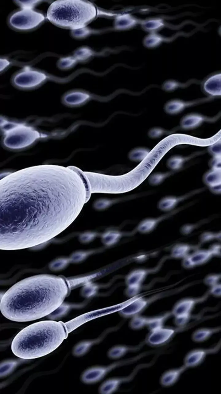 Laung For Sperm Count: यौन इच्छा और स्पर्म काउंट बढ़ाने के लिए लौंग कैसे खाएं?