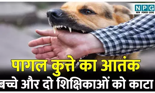 CG Teacher News: पागल कुत्ते ने पीएमश्री स्कूल में घुस बच्चे और दो शिक्षिकाओं को काटा, शिक्षिका का मांस नोंच किया शरीर से अलग