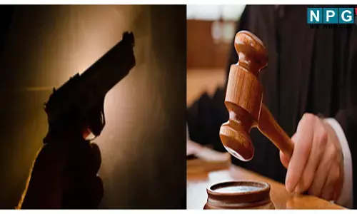 Raipur Crime News: रायपुर में करोड़पति-बिजनेसमैन ने की भाई की हत्या, एक के बाद  एक मारी 3 गोलियां, कोर्ट ने सुनाई उम्रकैद की सजा