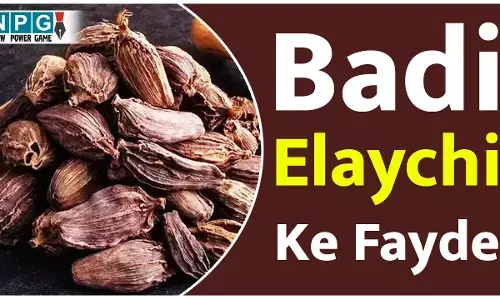 Badi Elaichi Ke Fayde: सिर्फ सब्ज़ी में खुशबू जोड़ने वाला खड़ा मसाला नहीं है बड़ी इलायची! इसके स्वास्थ्य लाभ जानकार हो जाएंगे हैरान