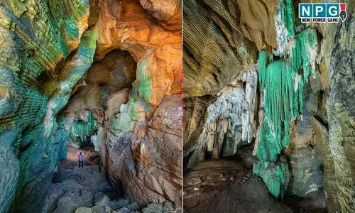 Green Cave: OMG-छत्तीसगढ़ में मिली ग्रीन गुफा, सूक्ष्मजीवी जमाव से ढकी हरी दीवारें, पर्यटन के लिए जल्द ही खोला जाएगा... मिलेगा रोजगार...