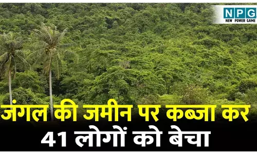 CG Crime News: जंगल की जमीन पर किया कब्जा और 41 लोगों को बेच दिया, बेदखली के बाद पुलिस ने मास्टर माइंड को गिरफ्तार कर भेजा जेल