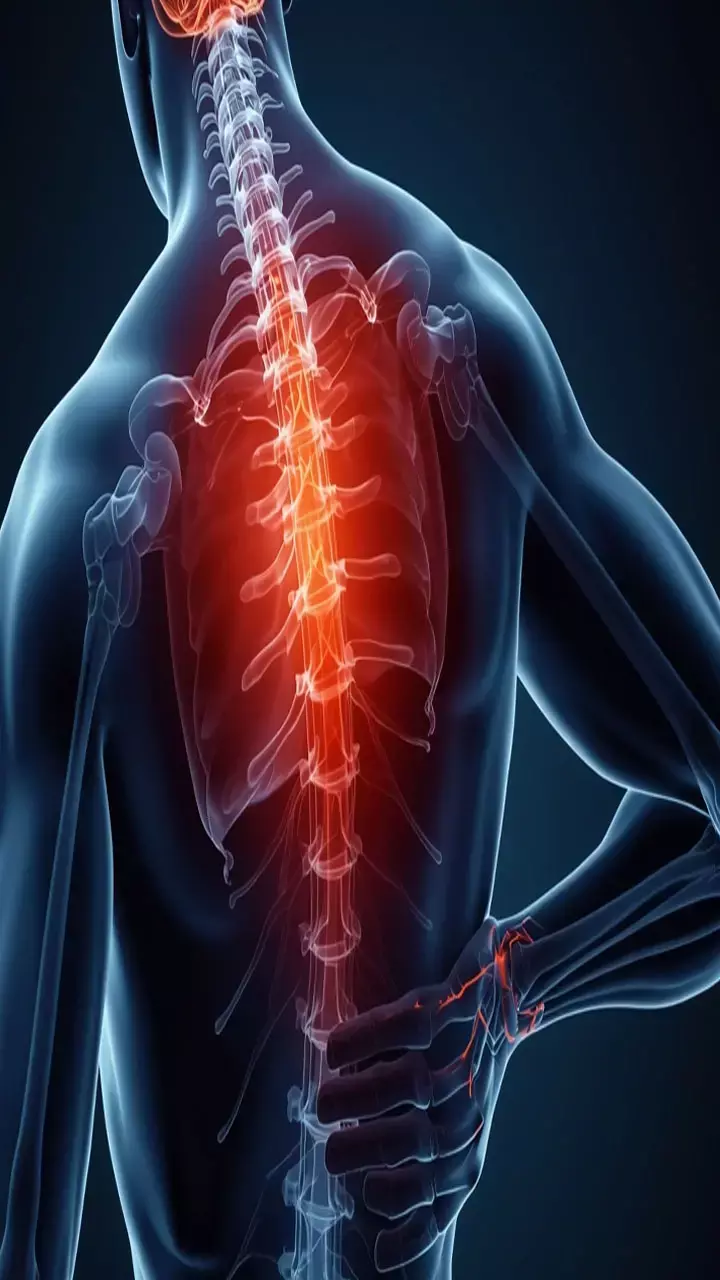 Jodo Ke Dard Ke Liye Kya Khaye: जोड़ो का दर्द ठीक करने के लिए क्या खाना चाहिए?