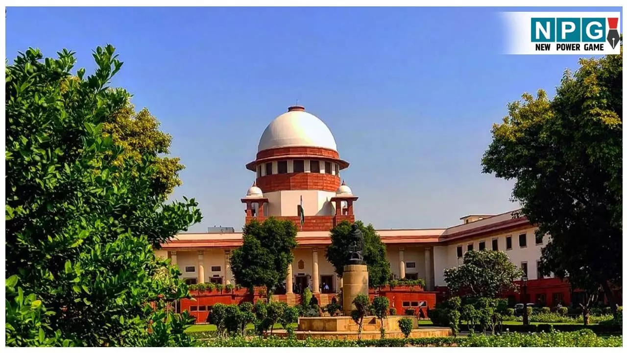 Supreme Court News: CLAT 2026 पेपर लीक: जांच की मांग को लेकर सुप्रीम कोर्ट में दायर की याचिका, पहली आवंटन सूची बुधवार 7 जनवरी को होगी जारी Supreme Court News: CLAT 2026 पेपर लीक: जांच की मांग को लेकर सुप्रीम कोर्ट में दायर की याचिका, पहली आवंटन सूची बुधवार 7 जनवरी को होगी जारी