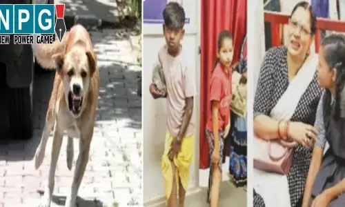 Bilaspur News: आवारा कुत्तों का आतंक...स्कूल में घुसकर चार बच्चों को काटा, अस्पताल में इलाज जारी