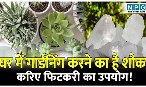 Gardening me fitkari uses: घर में गार्डनिंग करने का है शौक, तो इस तरह से करिए फटकरी का उपयोग। जानिए पौधों में फिटकरी का पानी डालने के फायदे!