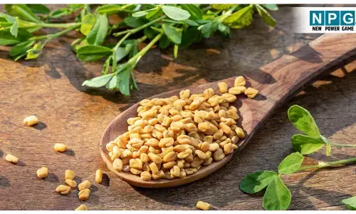 Methi khane ke Fayde: मेथी में छुपा है औषधीय गुण, इसे करे अपनी आदत में शामिल, रोज एक चम्मच और पाए सेहत का खजाना