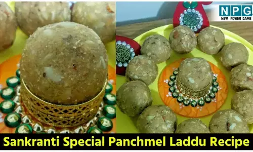 Sankranti Special Panchmel Laddu Recipe: ठंड के डॉक्टर हैं ये संक्रांति स्पेशल पंचमेल लड्डू, टेस्ट का ट्विस्ट ट्राई कीजिये