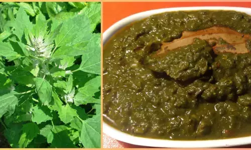 Bathua Bhaji Recipe : बाजार में खूब मिल रही सुपर फूड बथुआ भाजी... सब्जी नहीं खाते तो बनाएं ये रेसिपी