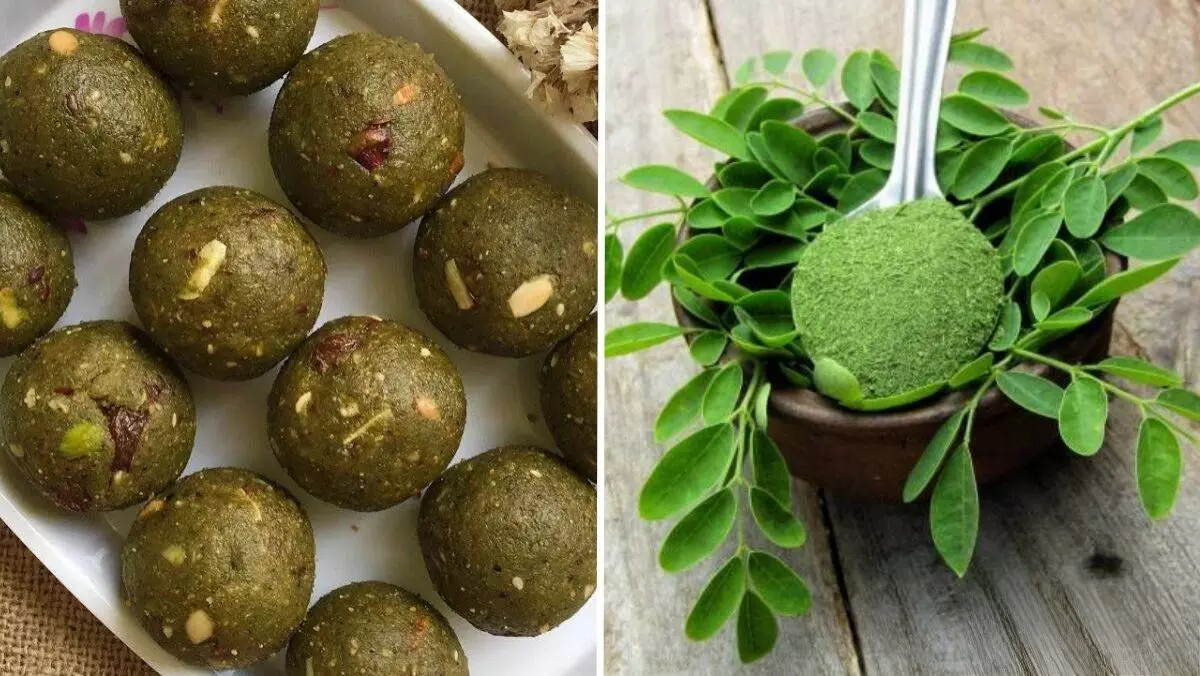 Moringa Laddu Recipe : जूस तो बिना मन के बहुत पी लिए... अब चाव से आप भी खायेंगे मोरिंगा की ये रेसिपी Moringa Laddu Recipe : जूस तो बिना मन के बहुत पी लिए... अब चाव से आप भी खायेंगे मोरिंगा की ये रेसिपी