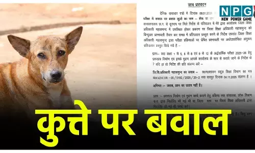 CG School Education News: कुत्ते पर बवाल, DEO जिम्मेदार: पढ़िए जेडी की रिपोर्ट, जेडी ने सरकार को सौंपी रिपोर्ट, पढ़िये क्या लिखा