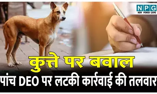 CG School News: कुत्ते पर बवाल: सिर्फ एक नहीं पांच जिलों में बंटा विवादित पेपर, पांचों डीईओ पर लटकी कार्रवाई की तलवार