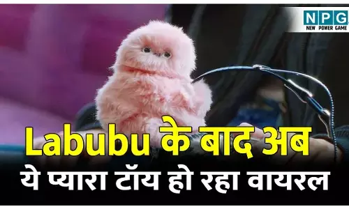 Mirumi Toy Kya Hai: Labubu के बाद अब ये प्यारा टॉय हो रहा वायरल, जानिए भालू जैसे दिखने वाले मिरुमी टॉय के बारे में!