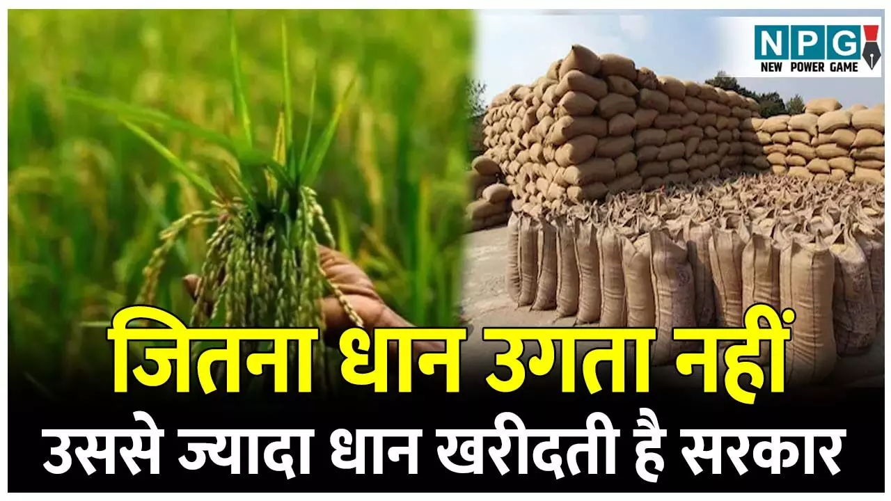 CG Paddy News: जितना धान उगता नहीं, उससे ज्यादा सरकार धान खरीदती है छत्तीसगढ़ में, समझिए इस चमत्कार के पीछे के खेल को CG Paddy News: जितना धान उगता नहीं, उससे ज्यादा सरकार धान खरीदती है छत्तीसगढ़ में, समझिए इस चमत्कार के पीछे के खेल को