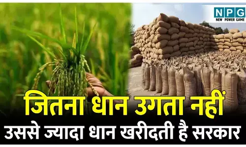CG Paddy News: जितना धान उगता नहीं, उससे ज्यादा सरकार धान खरीदती है छत्तीसगढ़ में, समझिए इस चमत्कार के पीछे के खेल को
