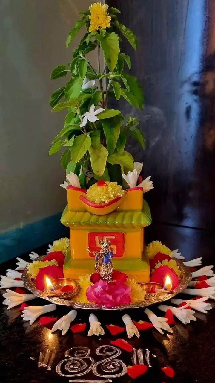 Tulsi Ka Paudha Kis Disha Me Lagaye: तुलसी का पौधा किस दिशा में रखना चाहिए?