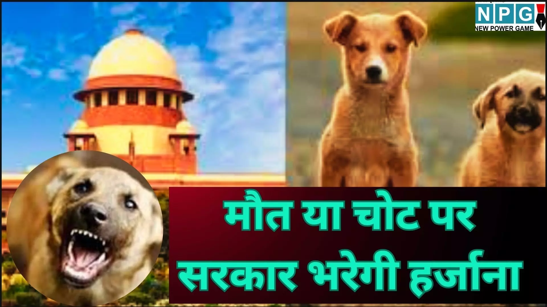 Supreme Court Dog Bite Hearing : कुत्तों का आतंक: अब मौत या चोट पर सरकार भरेगी भारी हर्जाना, सुप्रीम कोर्ट ने डॉग लवर्स को भी लपेटा, पढ़े पूरी खबर Supreme Court Dog Bite Hearing : कुत्तों का आतंक: अब मौत या चोट पर सरकार भरेगी भारी हर्जाना, सुप्रीम कोर्ट ने डॉग लवर्स को भी लपेटा, पढ़े पूरी खबर