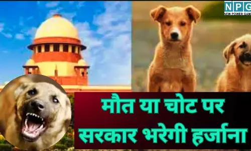 Supreme Court Dog Bite Hearing : कुत्तों का आतंक: अब मौत या चोट पर सरकार भरेगी भारी हर्जाना, सुप्रीम कोर्ट ने डॉग लवर्स को भी लपेटा, पढ़े पूरी खबर