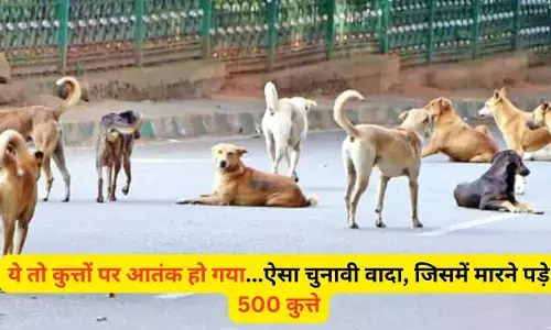 Telangana Crime News : हैवानियत ! जहरीला इंजेक्शन देकर 500 कुत्तों को मार डाला, पूरी वारदात कैमरे में कैद