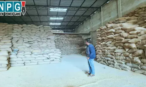 CG News: बड़ी कार्रवाई: कटस्म मिलिंग में फर्जीवाड़ा : 6.86 करोड़ रुपए का धान जब्त, वाहन सहित राईस मिल सील