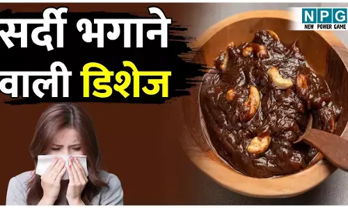 Foods That Keep You Warm In Winter: सर्दियों में बनाकर खाइये ऐसी चीज़ें जो आपको अंदर से रखें गर्म, पढ़िए सर्दी भगाने वाली डिशेज़ के बारे में...
