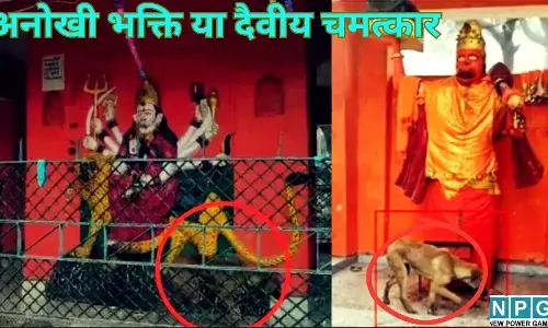 Bijnor Miracle Dog : अनोखी भक्ति या दैवीय चमत्कार? बिजनौर में हनुमान जी के बाद अब मां दुर्गा की परिक्रमा कर रहा कुत्ता, उमड़ी भारी भीड़