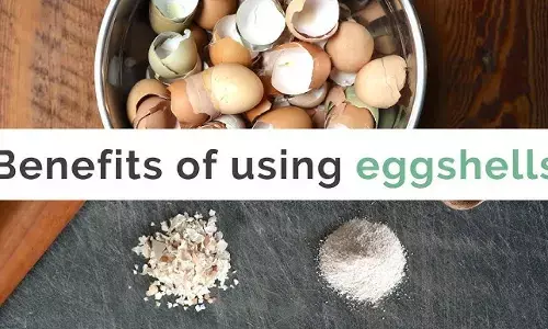 Egg shell benefits  :  जिसे फेक देते हैं वही भाग है सबसे पावरफुल ! जान लेंगे तो हड्डियों को मिल जाएगी नई जान