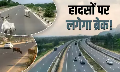 NHAI stray cattle alert: हाईवे पर आवारा पशु दिखे तो पहले मिलेगा अलर्ट, NHAI का पायलट प्रोजेक्ट शुरू, हिंदी SMS के बाद आएगा Voice Warning