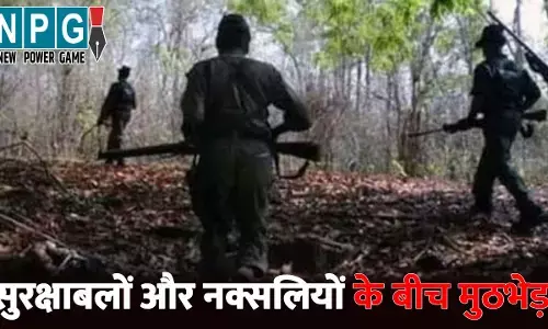 Bijapur Naxalite Muthbhed News
