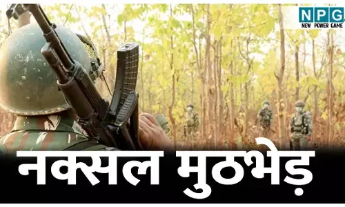 CG Naxal Encounter: नक्सल मुठभेड़: नेशनल पार्क एरिया चीफ दिलीप वेंडजा,महिला नक्सली समेत चार ढेर