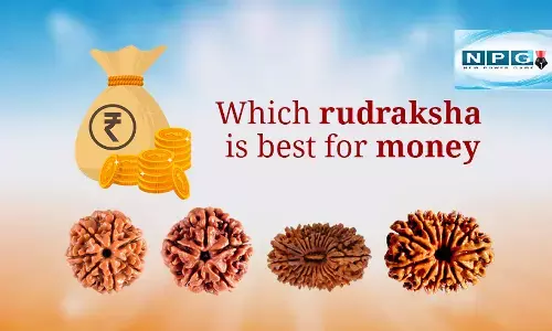 rudraksha for money and wealth : भगवान शिव के इस अंश का अगर सही तरीके से करें धारण, तो जल्द हो जायेंगे मालामाल