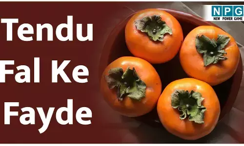 Tendu Fal Ke Fayde: आदिवासियों का प्रिय फल तेंदू अब है हाई डिमांड में, जाने हार्ट डिसीज़ से लेकर कैंसर तक से बचाने में तेंदू या पर्सिमन के गज़ब के फायदे और चंद सावधानियां