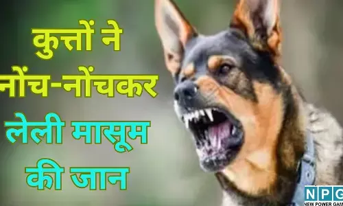 UP Moradabad News : रूह कंपा देने वाली वारदात : मासूम नुसरत को तालाब तक घसीट ले गए आदमखोर कुत्ते, नोंच-नोंचकर ले ली जान, पढ़े कलेजा फटा देने वाली पूरी खबर