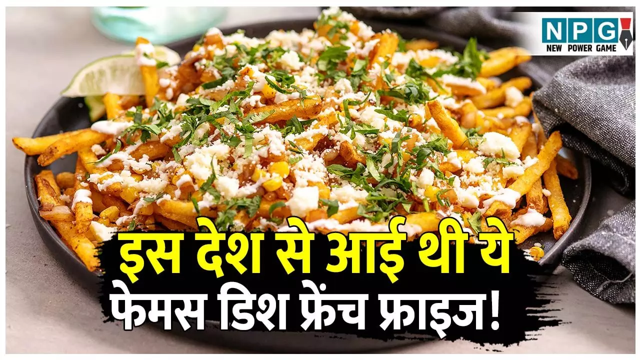 French Fries Ka Asli Itihaas: फ्रांस नहीं, इस देश से आई थी ये फेमस डिश फ्रेंच फ्राइज! जानिए कैसे बना ये दुनिया का सबसे फेमस स्नैक? French Fries Ka Asli Itihaas: फ्रांस नहीं, इस देश से आई थी ये फेमस डिश फ्रेंच फ्राइज! जानिए कैसे बना ये दुनिया का सबसे फेमस स्नैक?