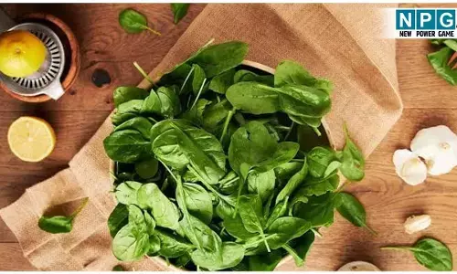 Palak Khane Ke 10 Fayde: पालक खून बढ़ाए, बीपी कंट्रोल करे, वेट लाॅस में दे मदद, डायबिटीज़ पेशेंट्स के लिये तो है सुपरफूड, जानिये पालक खाने के 10 जबरदस्त फायदे