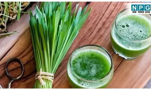 Gehu ke Jaware ke juice pine ke fayde: कैंसर, लिवर और किडनी के लिए वरदान है गेहूं का ज्वारा। जानिए इसके सेवन का सही तरीका!