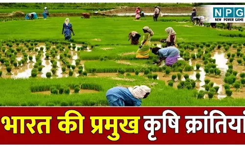 Bharat ki Pramukh krishi krantiyan: भारत की 5 प्रमुख कृषि क्रांतियां, जिन्होंने बदली किसानों की जिंदगी! जानिए श्वेत, भूरी, लाल, गुलाबी और हरित क्रांति के बारे में