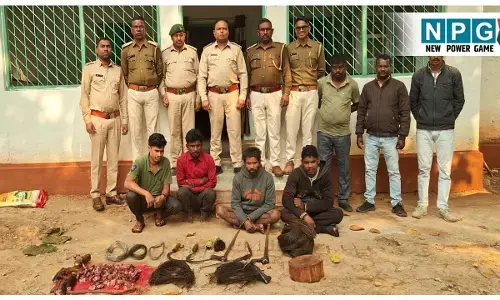 CG News: जंगली सुअर का शिकार: पांच आरोपियों को कोर्ट ने रिमांड पर भेजा जेल