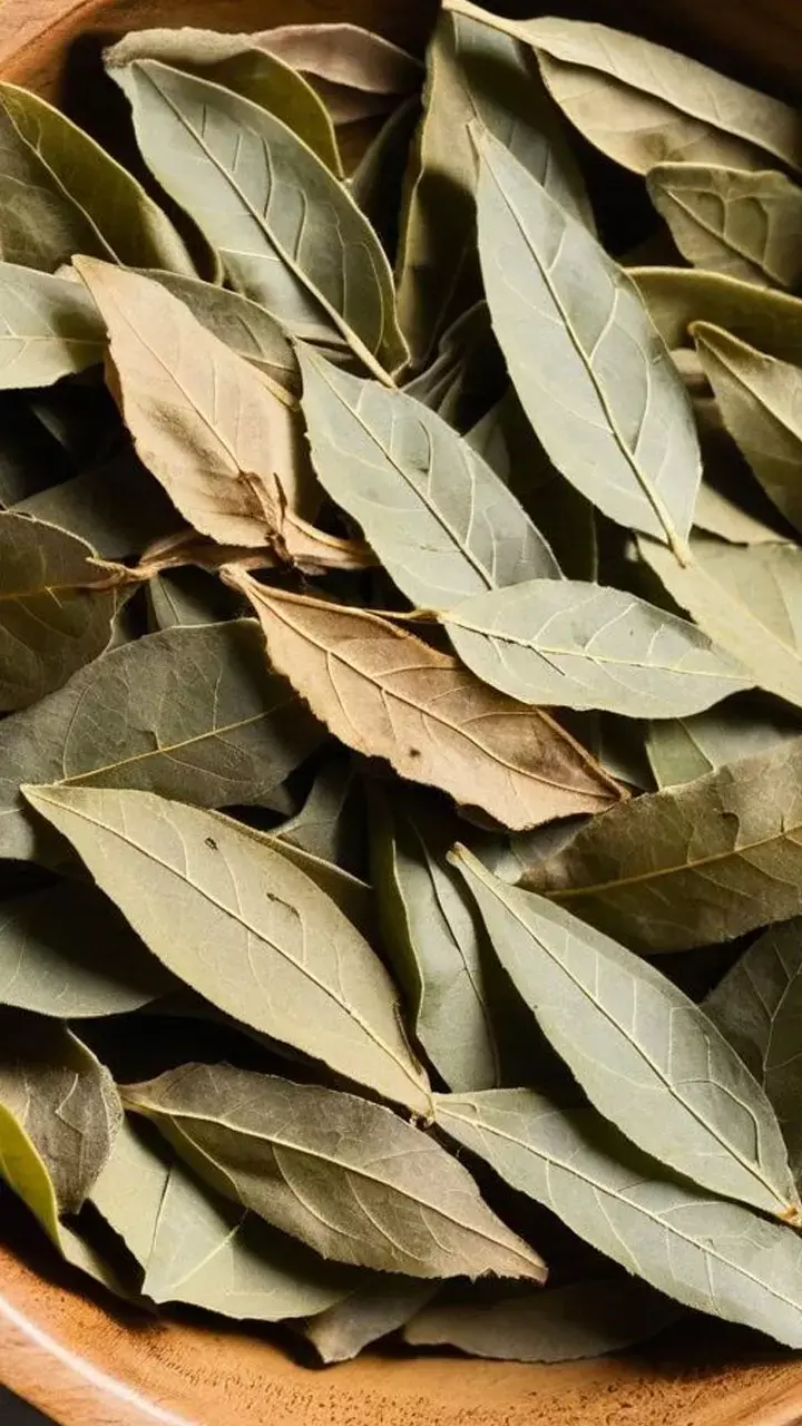 Tej Patta Ka Pani Pine Ke Fayde: सुबह खाली पेट तेज पत्ता का पानी पीने से क्या होता है?