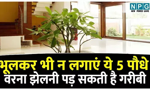 Kaunse Paudhe gharon mein nahin lagana chahiye: भूलकर भी न लगाएं ये 5 पौधे वरना झेलनी पड़ सकती है गरीबी और अशांति, जानिए पौधों को लेकर कुछ खास वास्तु टिप्स!