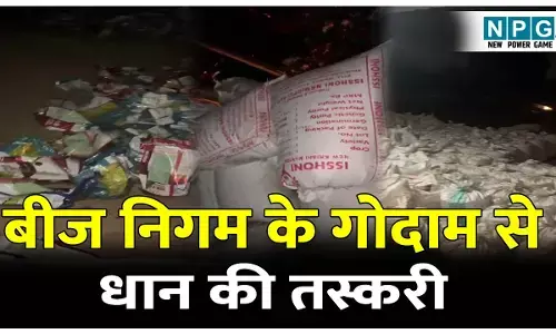 CG Paddy News: धान खरीदी में गजब का फर्जीवाड़ा: बीज निगम के गोदाम से धान की तस्करी, वायरल VIDEO में सनसनीखेज खुलासा