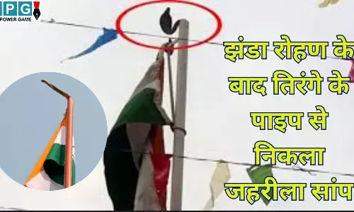 Banka Bihar School News : झंडा रोहण के बाद तिरंगे के पाइप से निकला जहरीला सांप, अफरा-तफरी में जमीन पर आ गिरा झंडा, जानें फिर क्या हुआ