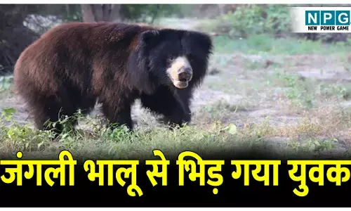 CG News: जिंदगी और मौत के बीच भयावह जंग! जंगली भालू से भिड़ गया युवक, पढ़िए मौत से लड़ने की रोंगटे खड़ी कर देने वाला मंजर